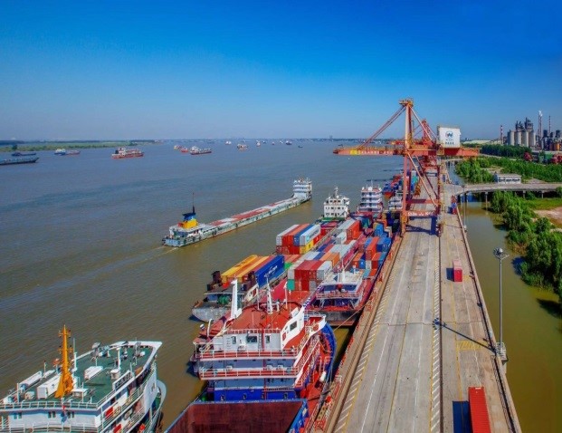 P020220629352578335520